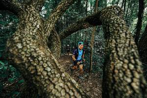 BIB: 
                            <button type="button" onclick="openModal(25392690)" class="btn btn-primary btn-sm float-right btn-popup" data-toggle="modal" data-target=".modal-high-quality">
                        <i class="fas fa-shopping-cart"></i> Add to Cart
                    </button>
                                            <button type="button" onclick="isThisMe(25392690, true)" class="btn btn-success btn-sm float-right btn-popup btn-isme hidden" data-toggle="tooltip" data-placement="bottom" title="นี่คือรูปของคุณใช่ไหม คลิกที่นี่เพื่อเอาเข้าอัลบั้ม">
                        <i class="fas fa-plus"></i> Add to album
                    </button>
                    <button type="button" onclick="isThisMe(25392690, false)" class="btn btn-warning btn-sm float-right btn-popup btn-isnotme hidden">
                        <i class="fas fa-ban"></i> Remove from album
                    </button>